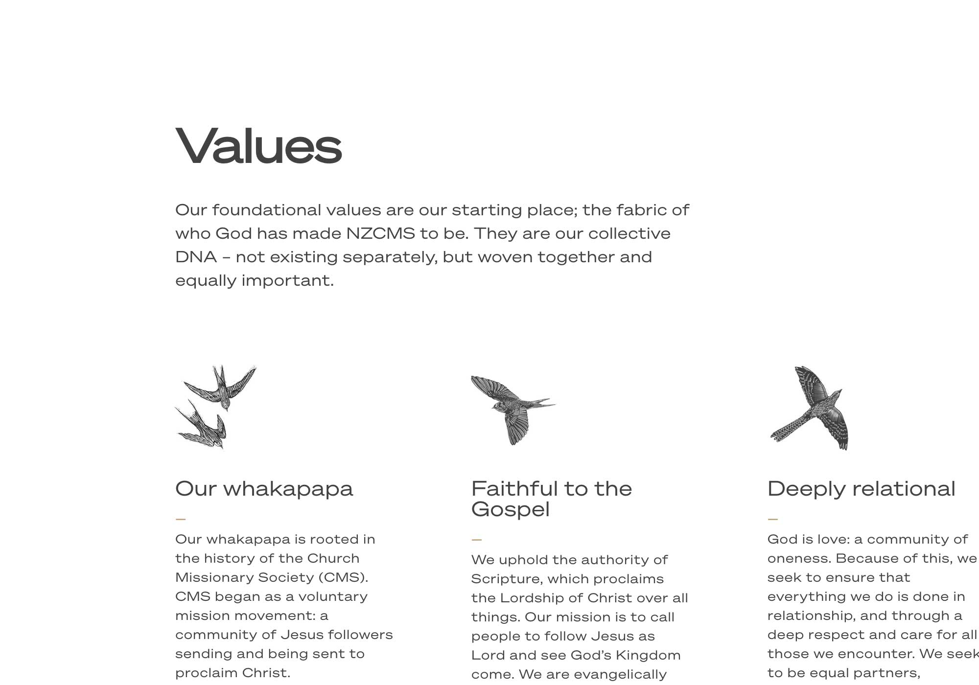 Vine-design-trust-NZCMS-web‑3