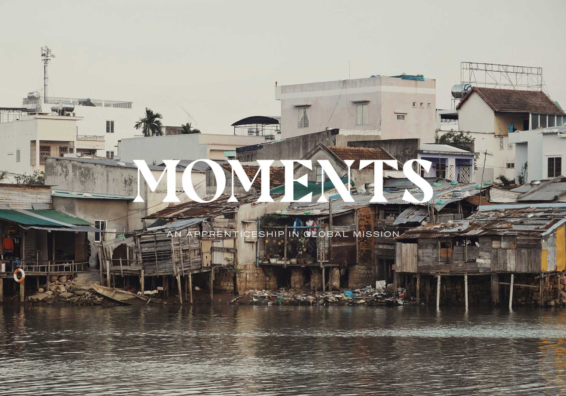 Vine-design-NZCMS-Moments-001