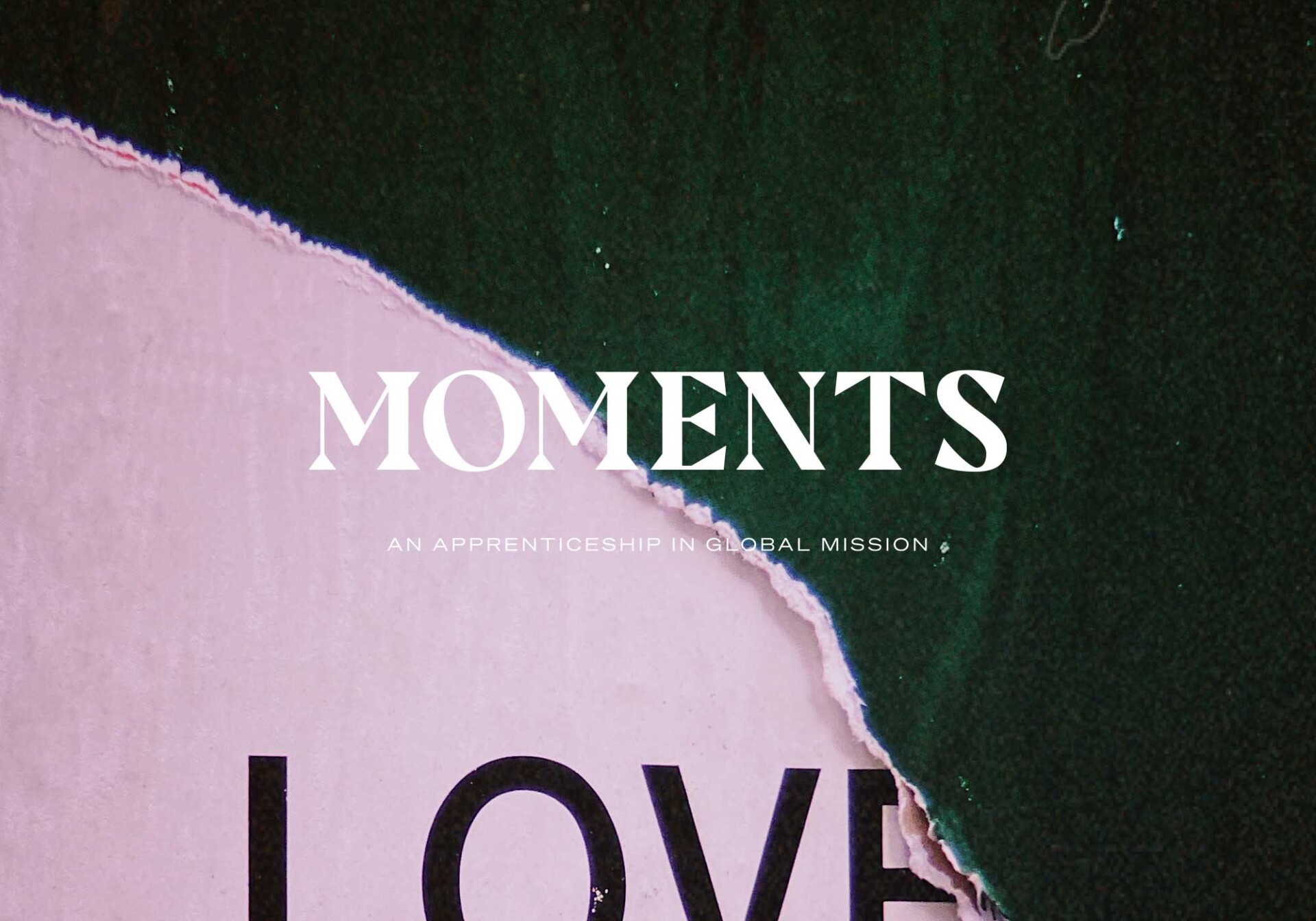 Vine-design-NZCMS-Moments-002