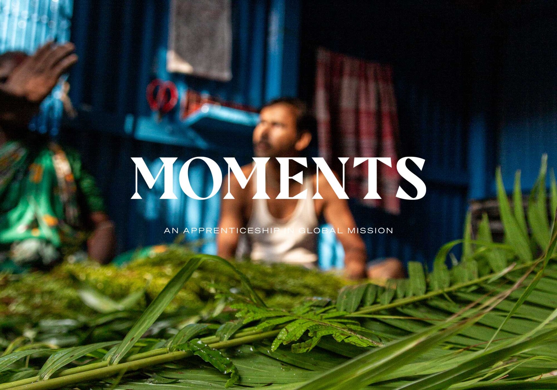 Vine-design-NZCMS-Moments-003