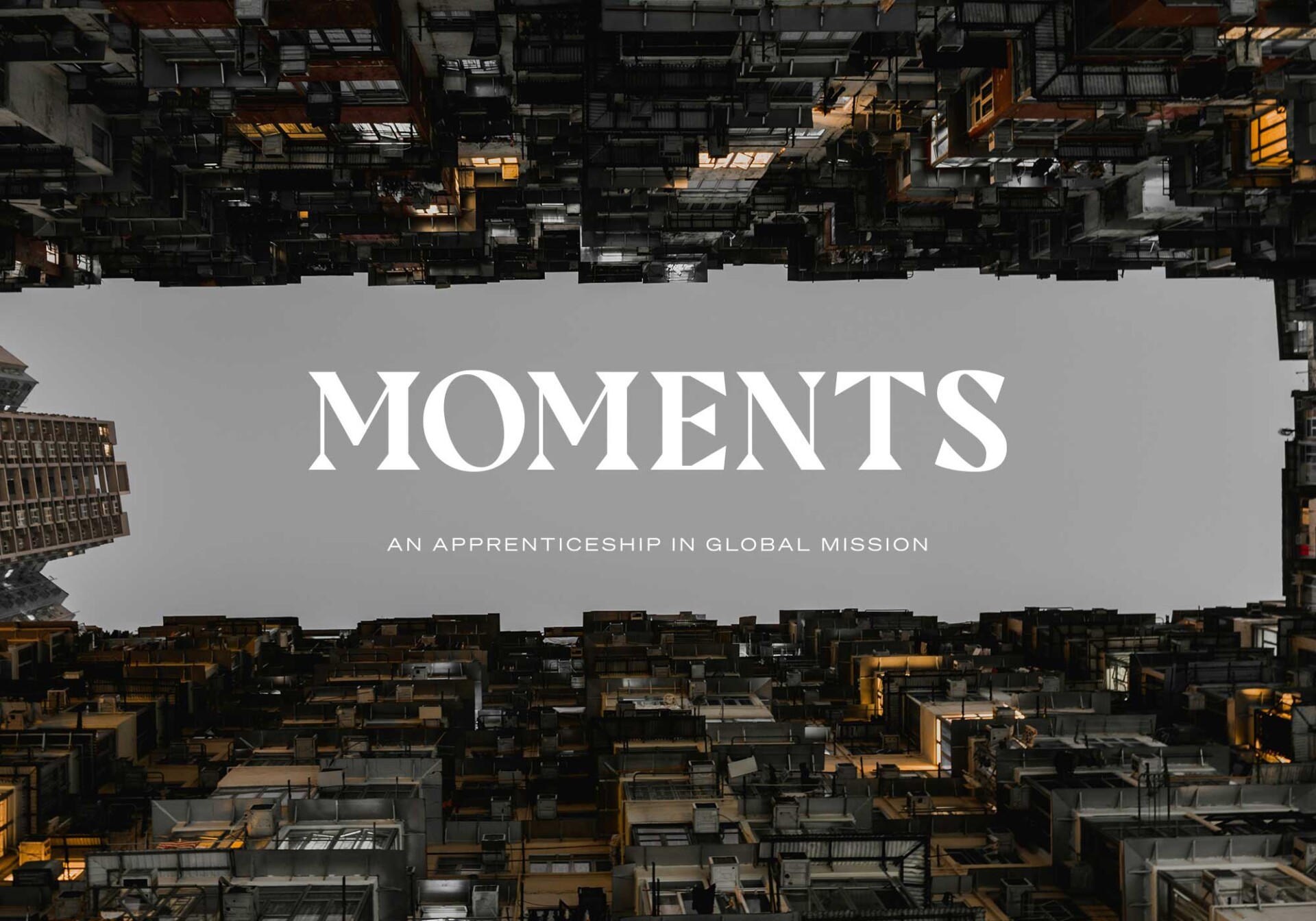 Vine-design-NZCMS-Moments-04